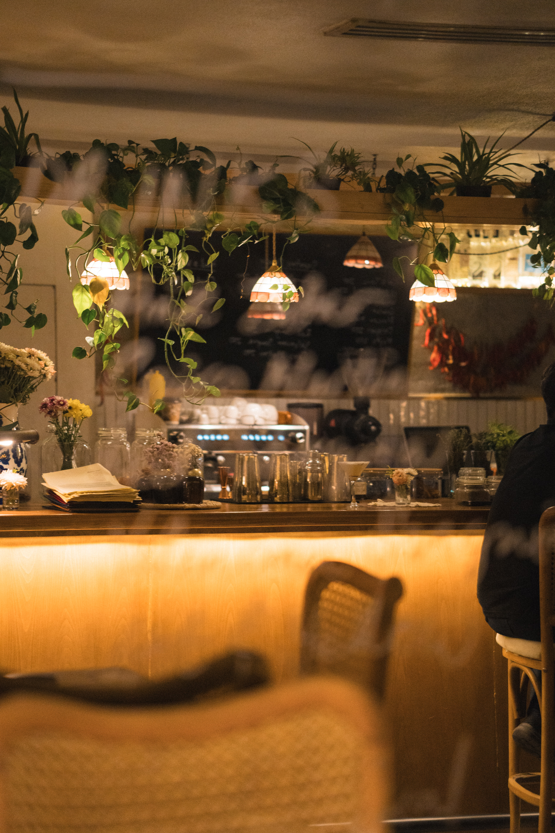 Almería's warm bar counter draped in hanging plants and Tiffany lamps